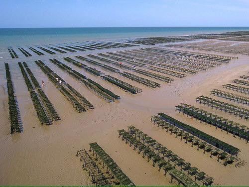 Maison Renovee En Pierres Sejour Spacieux Avec Jardin Et Terrasse Amenagee Pres Omaha Beach & Bayeux A 5Mn De La Mer Tous Commerces Commes Luaran gambar