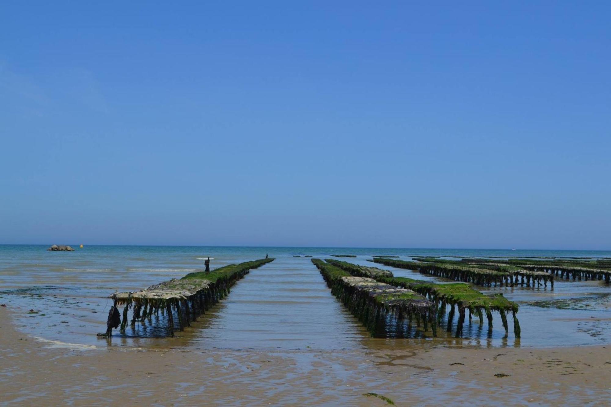 Maison Renovee En Pierres Sejour Spacieux Avec Jardin Et Terrasse Amenagee Pres Omaha Beach & Bayeux A 5Mn De La Mer Tous Commerces Commes Luaran gambar